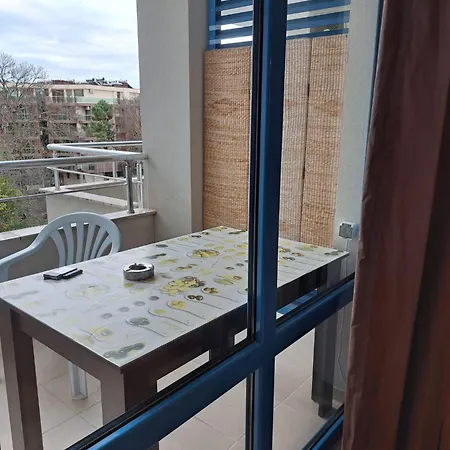 Apartment Excelsior 91 Sunny Bulgarien Sonnenstrand